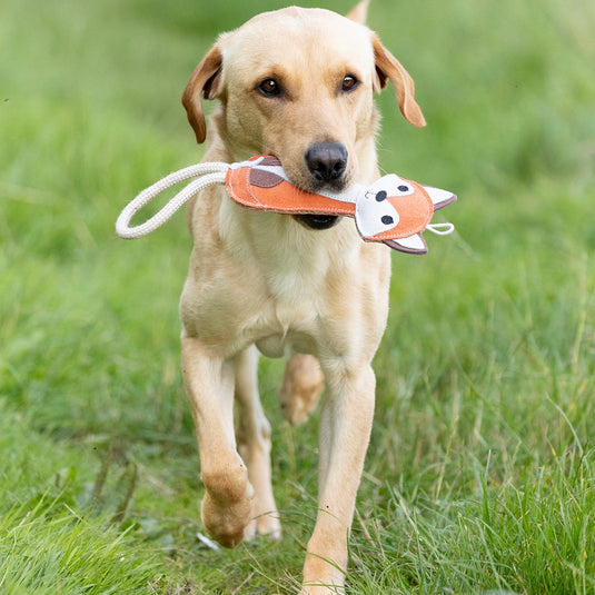 Benji & Flo Country Dog Toys Reynard The Fox