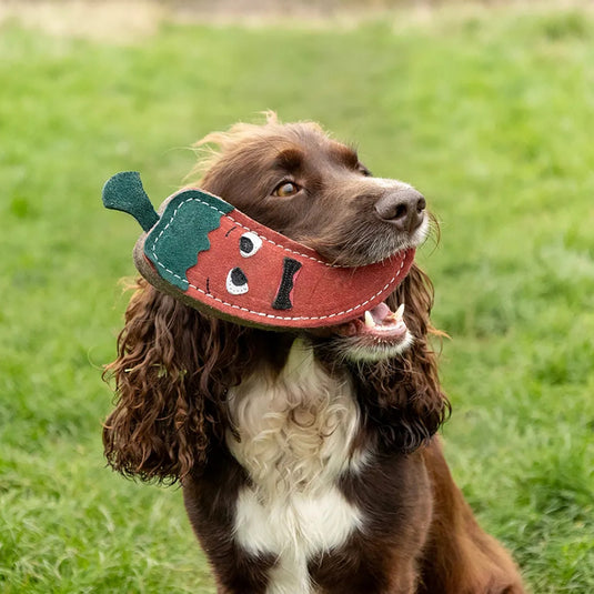 Benji & Flo Crazy Faces Dog Toys Jalapeno The Red Hot Chilli