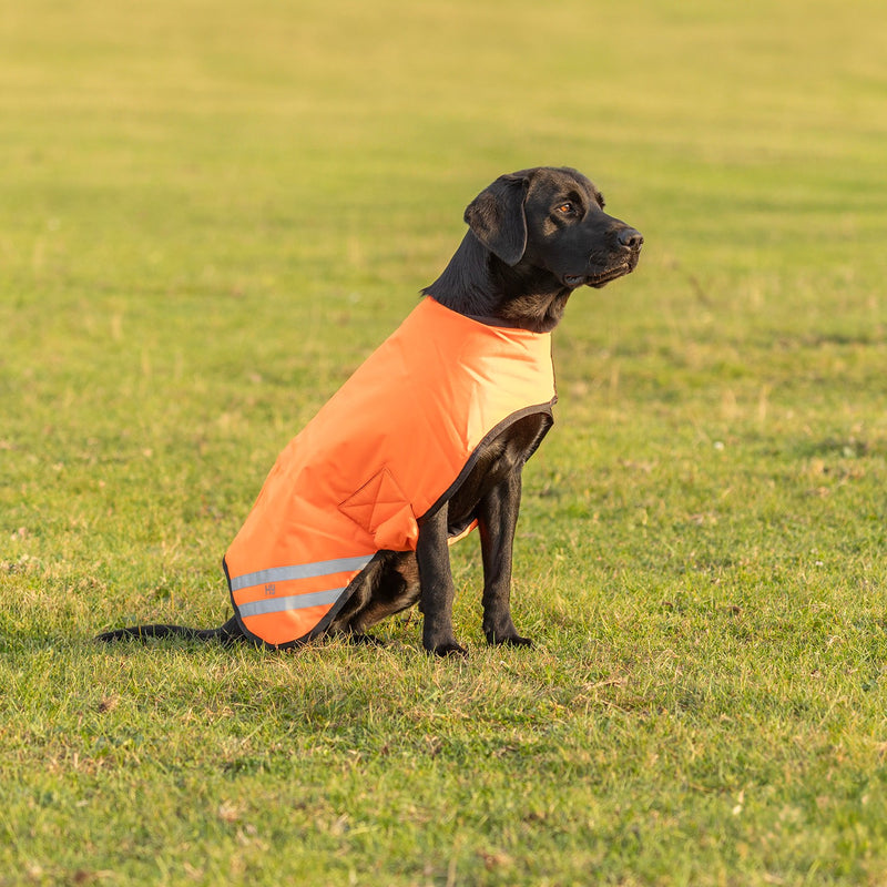 Load image into Gallery viewer, Benji &amp; Flo Reflector Waterproof Dog Coat Orange
