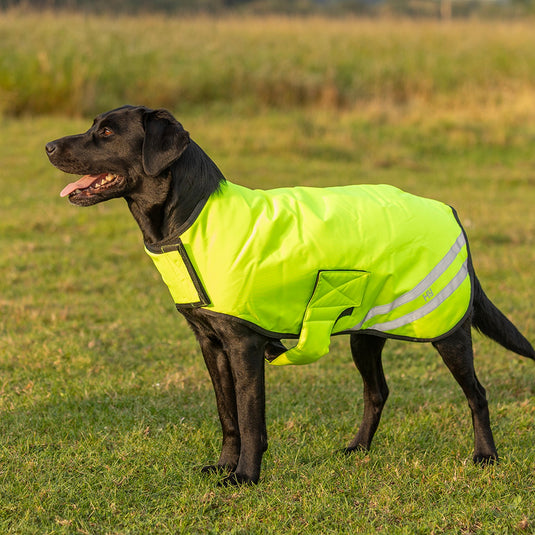 Benji & Flo Reflector Waterproof Dog Coat Yellow