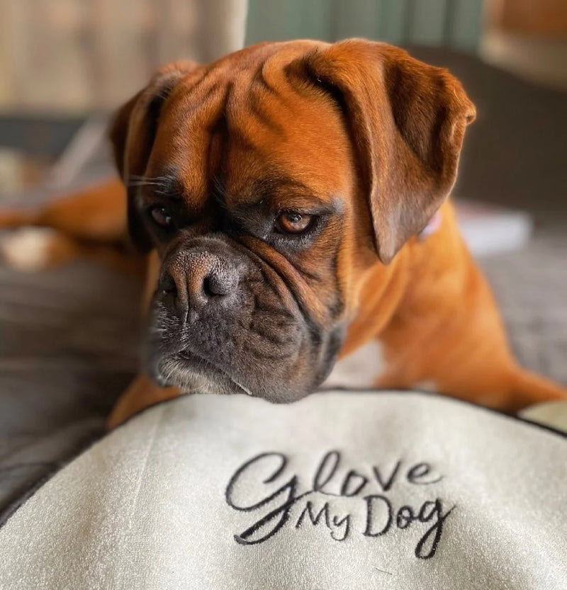 Load image into Gallery viewer, Sniffe &amp; Likkit - Glove My Dog (Natural Bamboo Towel)
