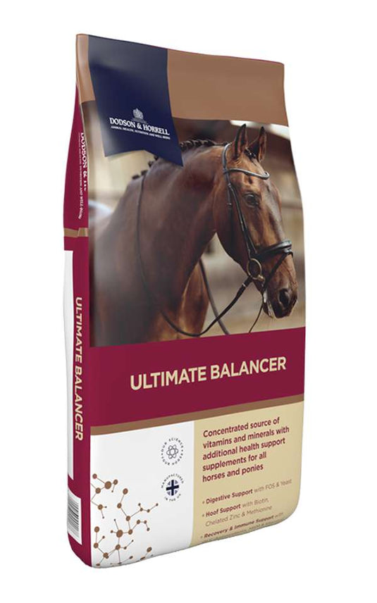 D&H Ultimate Balancer 20kg