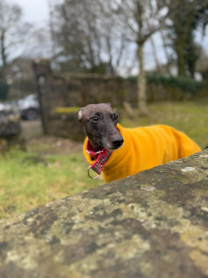 Load image into Gallery viewer, Open-Leg Fleece Vest - Yellow
