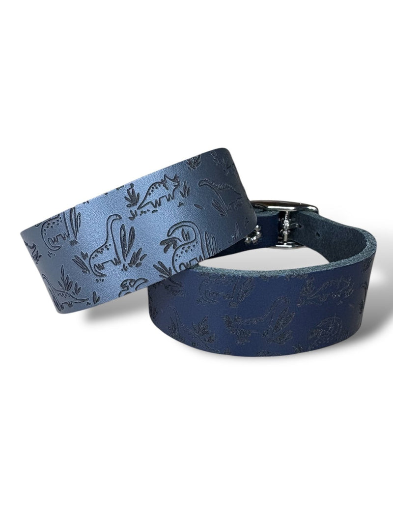 Load image into Gallery viewer, Leather Collar - Dinosaurs
