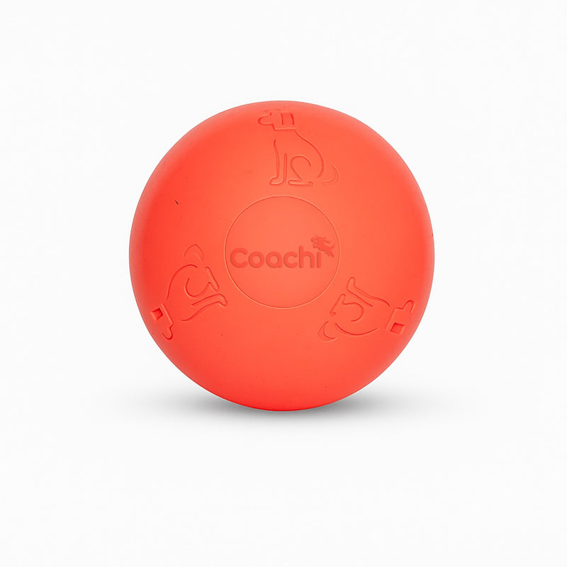 Load image into Gallery viewer, Coachi Boomi Ball
