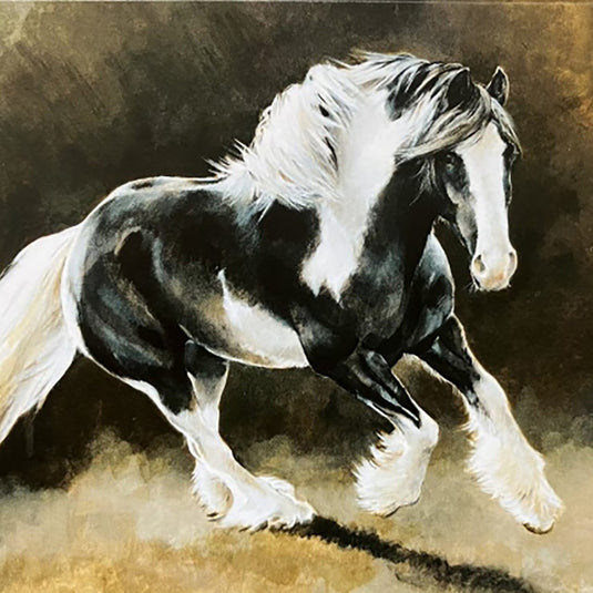 Caroline Cook Equestrian Cards Romany Spirit