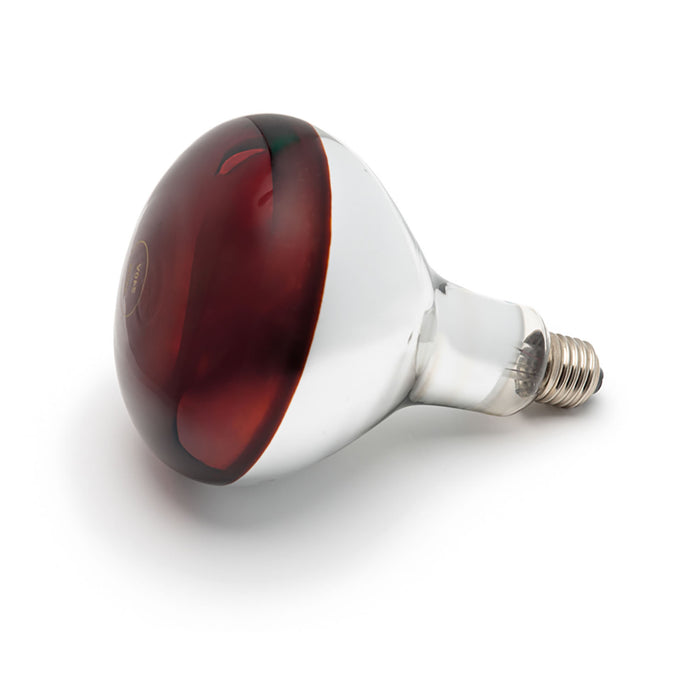 Curalux Infrared 240 V Reflector Lamb Bulb