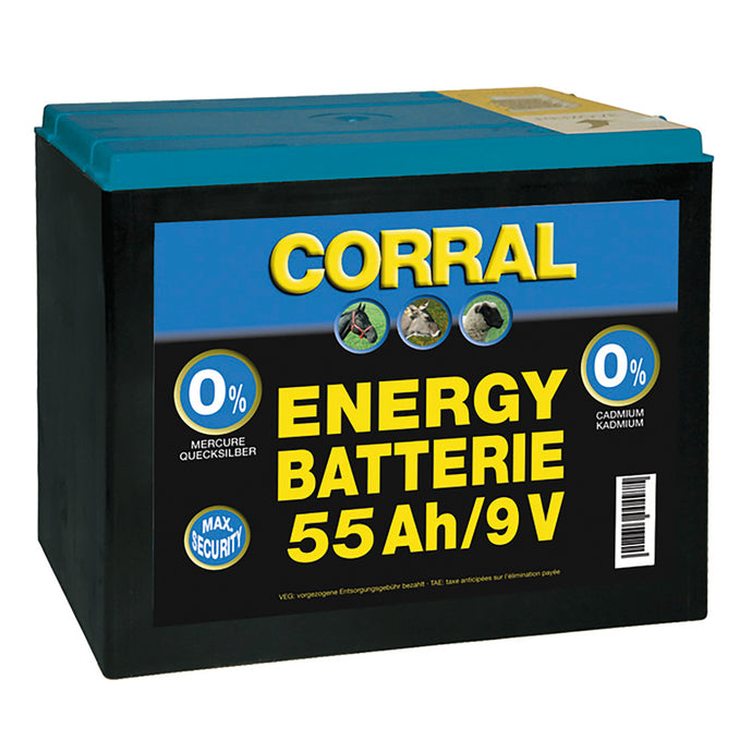 Corral Zinc Carbon 55 Ah 9 V Dry Battery