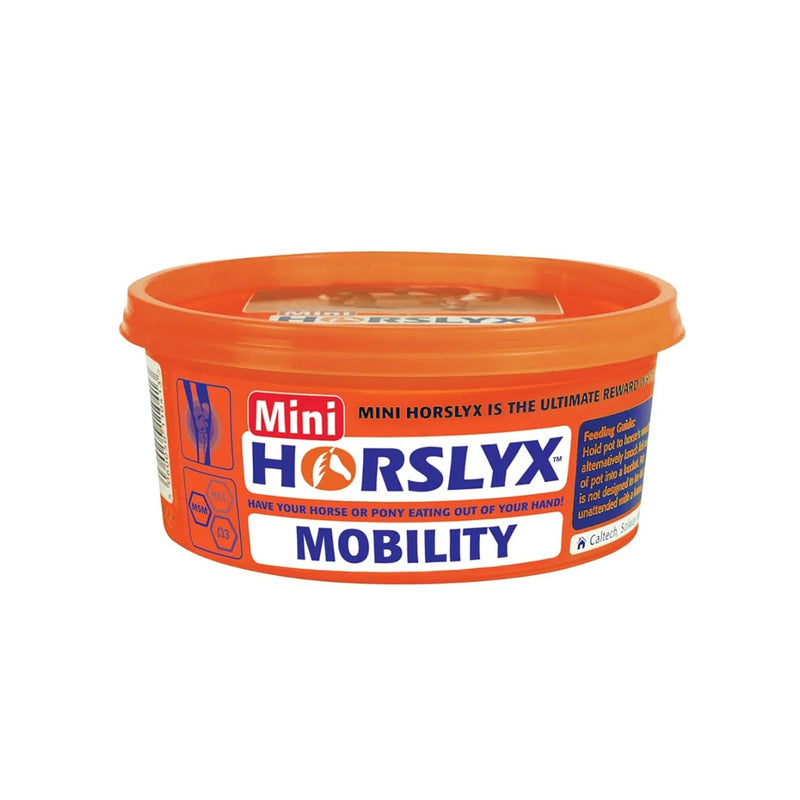Load image into Gallery viewer, Horslyx Mini Licks

