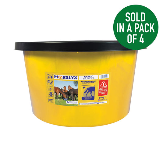 Horslyx Garlic Balancer Lick