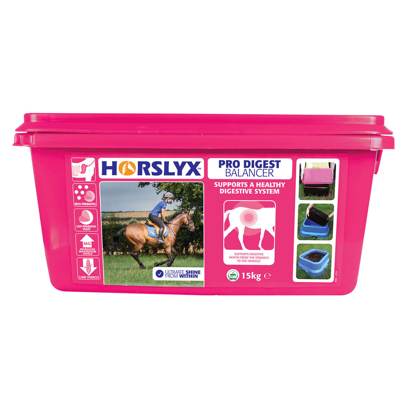 Load image into Gallery viewer, Horslyx Pro Digest Balancer Lick
