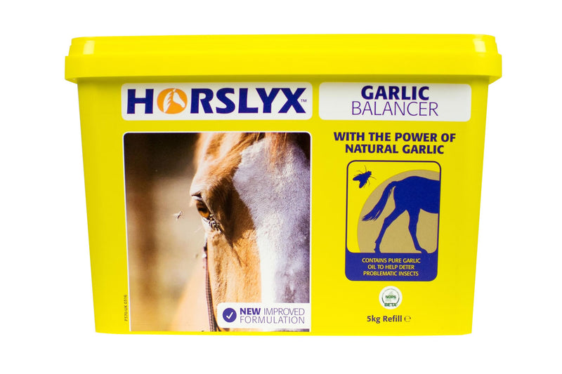 Load image into Gallery viewer, Horslyx Garlic Balancer Lick
