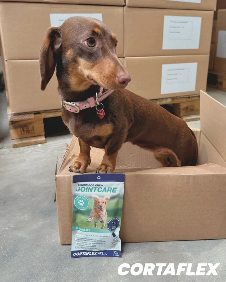 Load image into Gallery viewer, Equine America Canine Cortaflex Senior Dog Jointcare Chews
