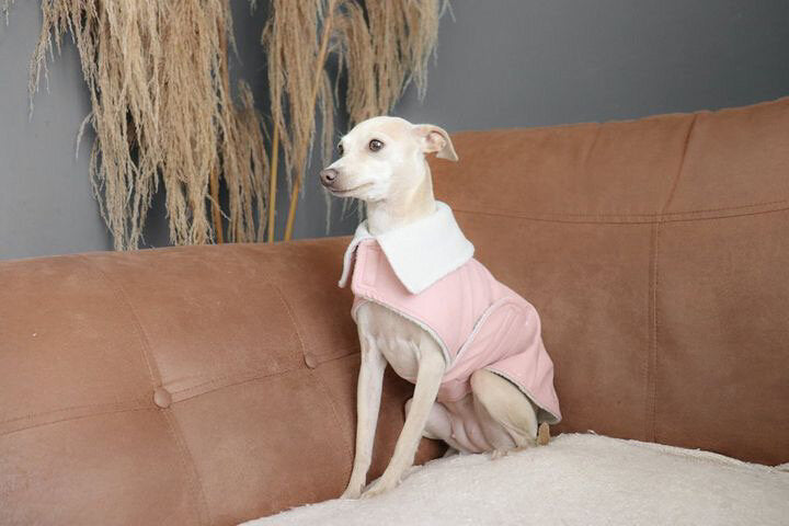 Load image into Gallery viewer, Rain Mac - Blush Pink Submarines
