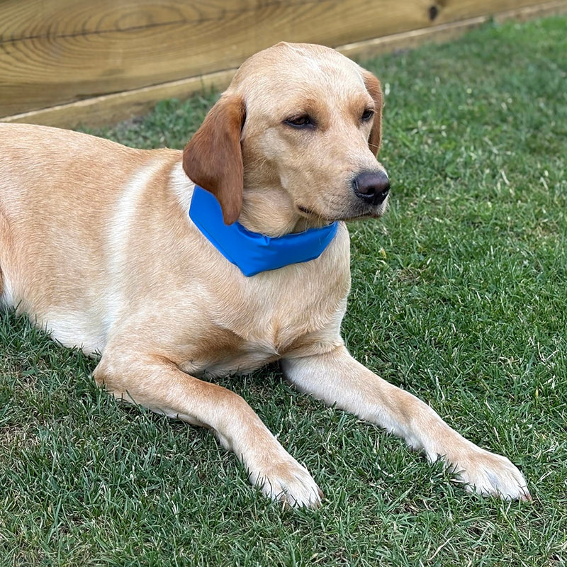 Load image into Gallery viewer, Danish Design Pet Cooling Collar
