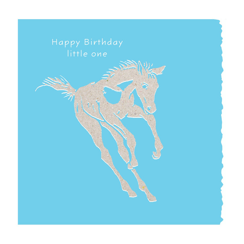 Load image into Gallery viewer, Deckled Edge Colour Block Pony Card

