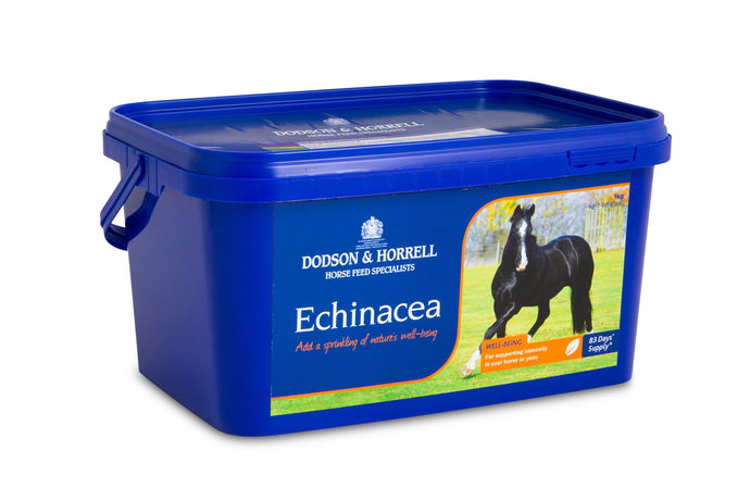 Dodson & Horrell Echinacea