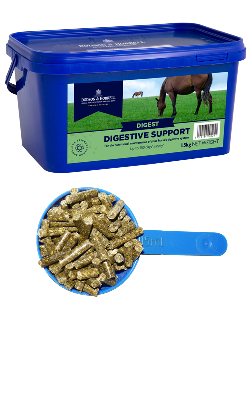 D&H Digestive Support 1kg