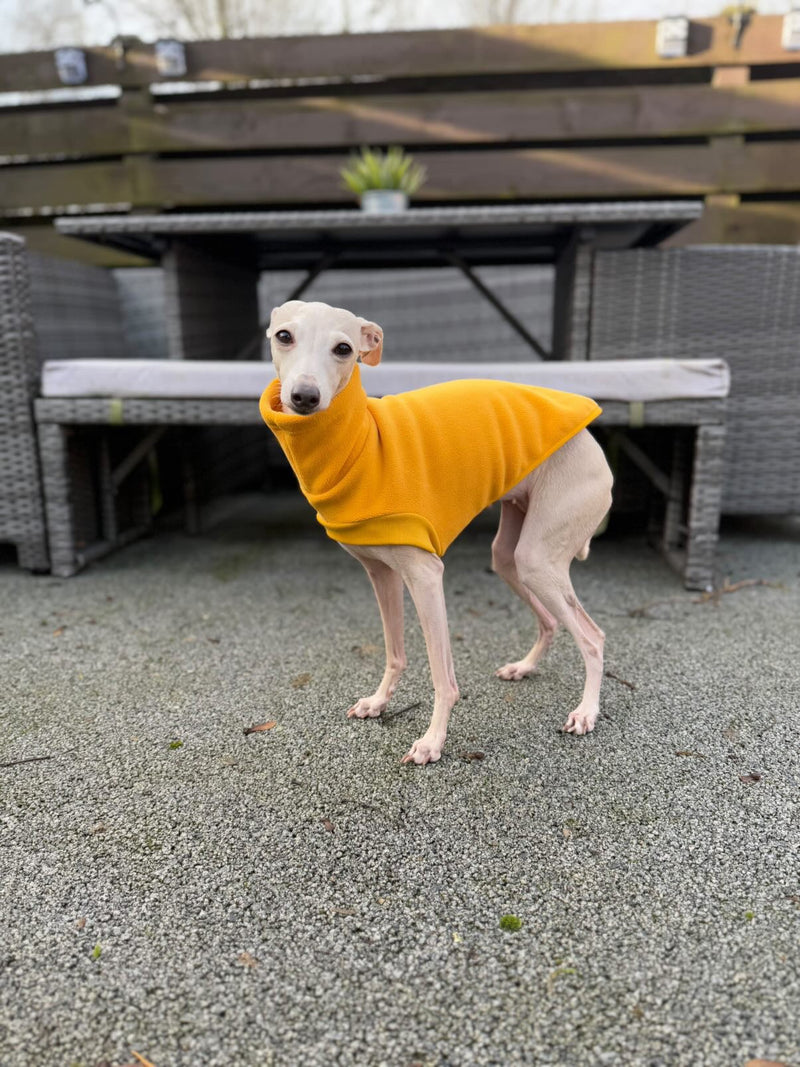 Load image into Gallery viewer, Open-Leg Fleece Vest - Yellow
