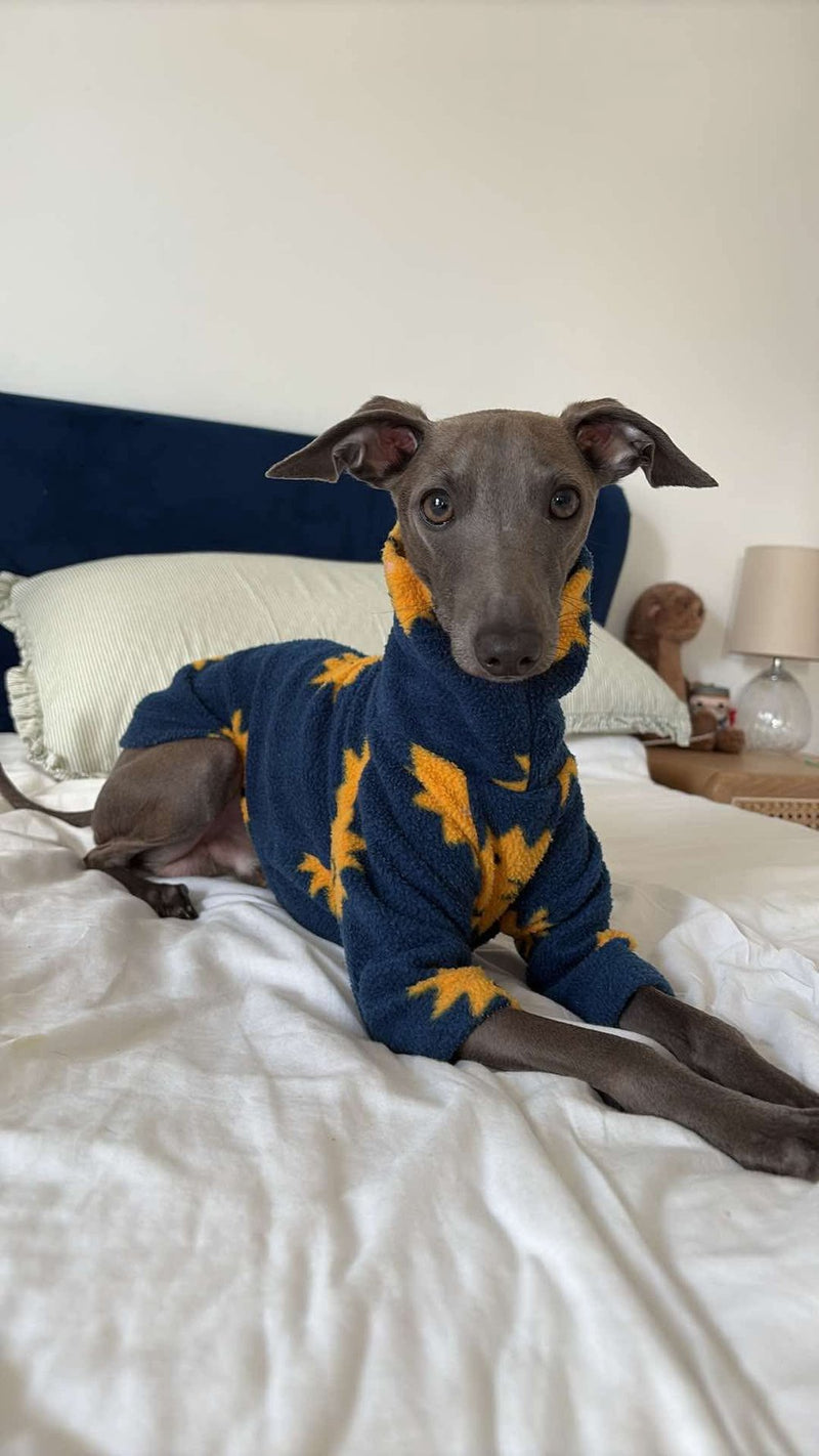 Load image into Gallery viewer, Fleece Jumper - Ice Creams
