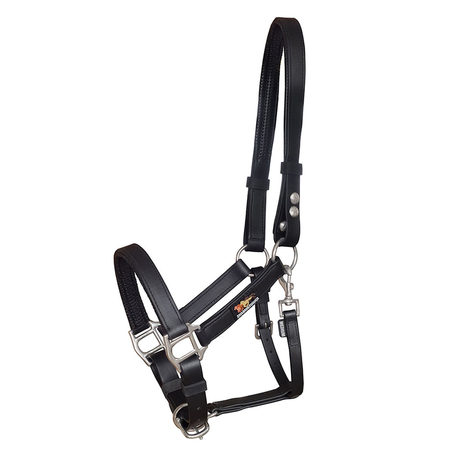 Equilibrium Stellar Headcollar Black