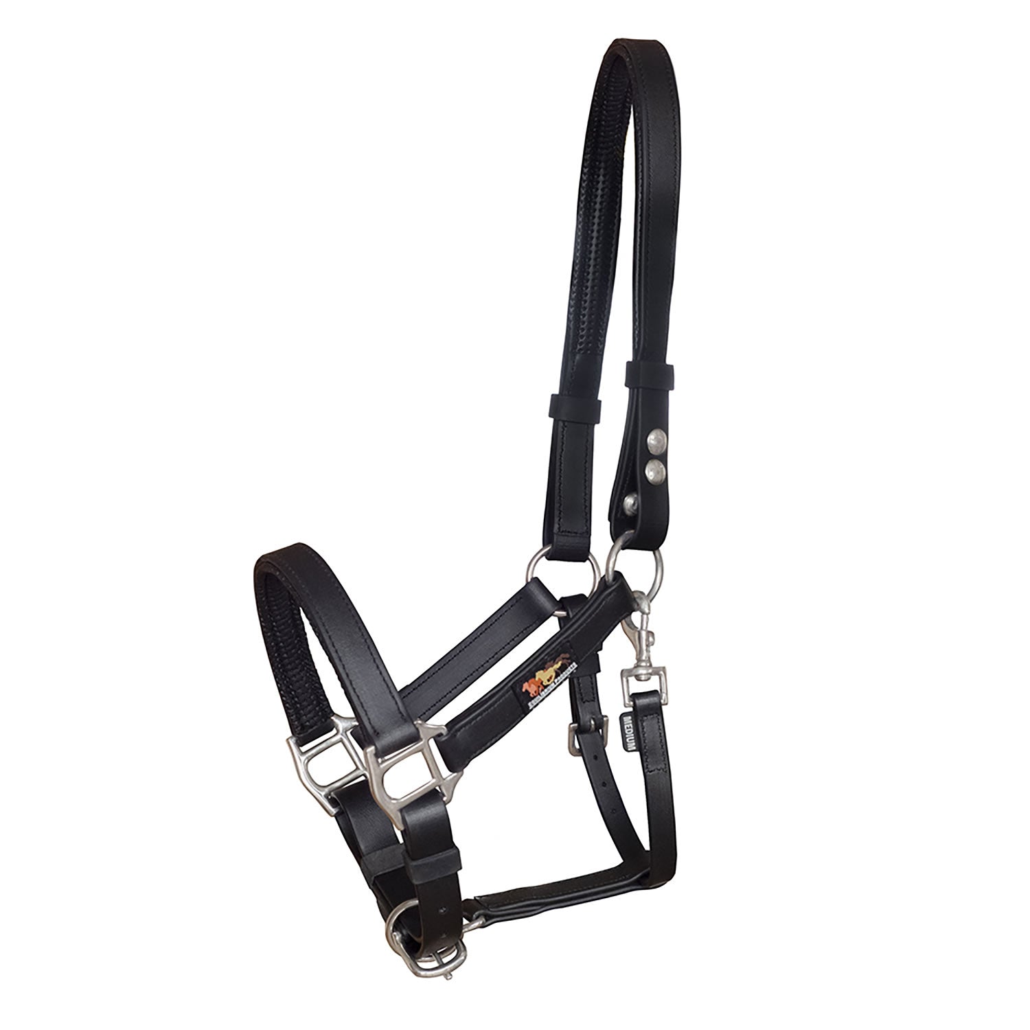 Equilibrium Stellar Headcollar Black
