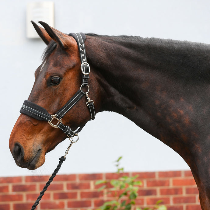 Equilibrium Stellar Style Headcollar Black