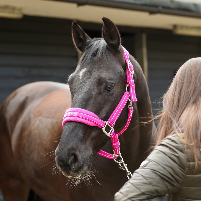 Load image into Gallery viewer, Equilibrium Stellar Style Headcollar Pink
