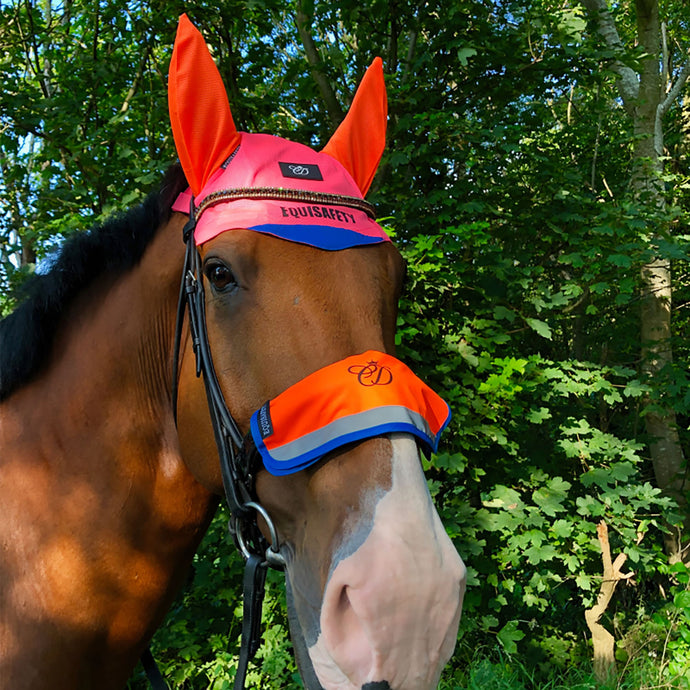 Equisafety Multi Coloured Noseband