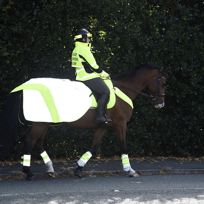 Equisafety Mercury Exercise Rug Yellow