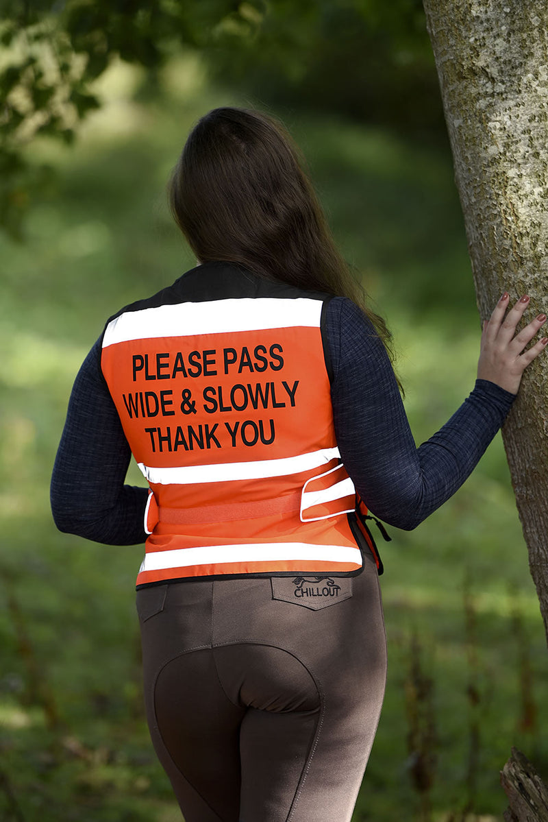 Load image into Gallery viewer, Equisafety Air Waistcoat Please Pass Wide &amp; Slowly Red
