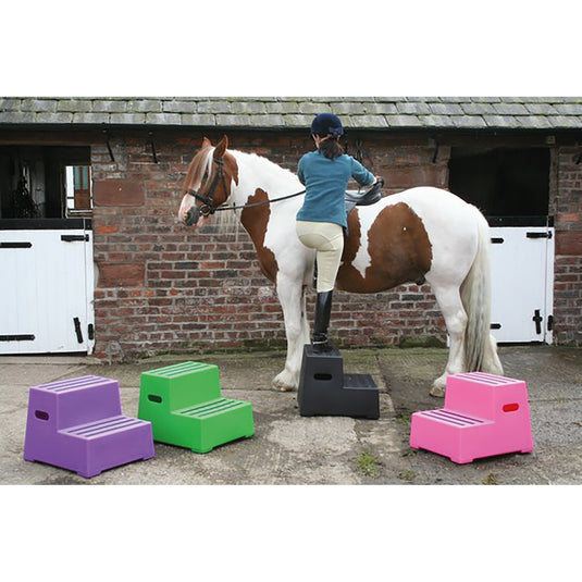 Classic Showjumps Premium Mounting Block Two Tread