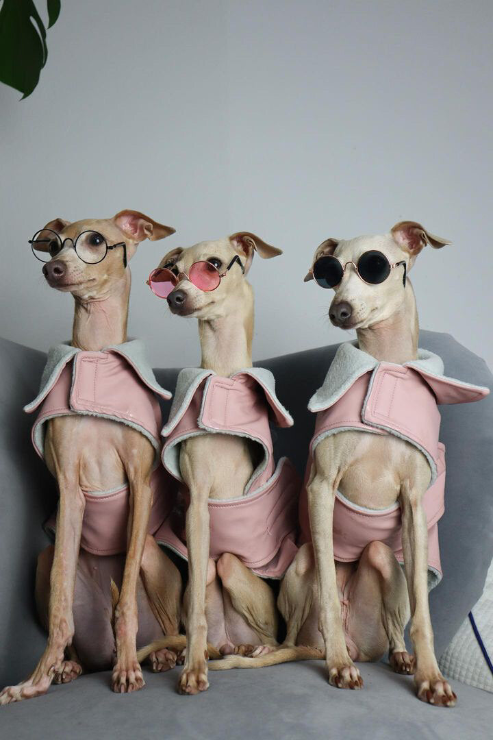 Load image into Gallery viewer, Rain Mac - Blush Pink Submarines
