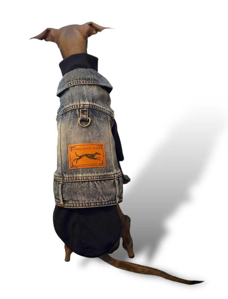 Load image into Gallery viewer, Denim Jacket - Cool Iggy Club
