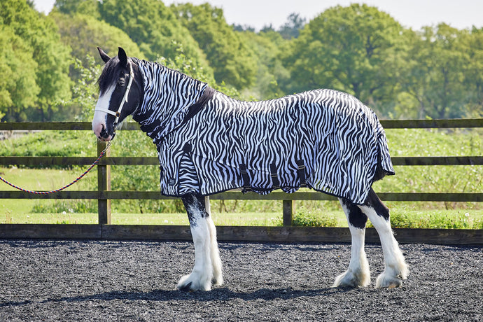 Firefoot Fly Rug Fixed Neck Zebra Print