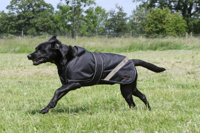 Firefoot Waterproof 2 In 1 Dog Coat Reflective Black