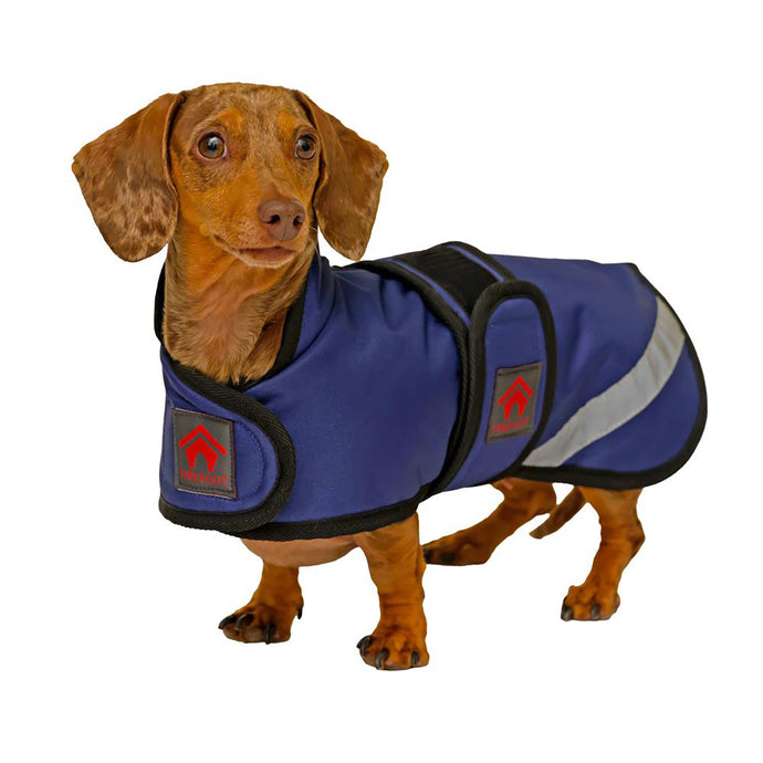 Firefoot Outdoor Dachshund Coat With Fleecy Lining Navy