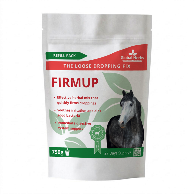Load image into Gallery viewer, Firmup Refill Pouch 750g - Global Herbs
