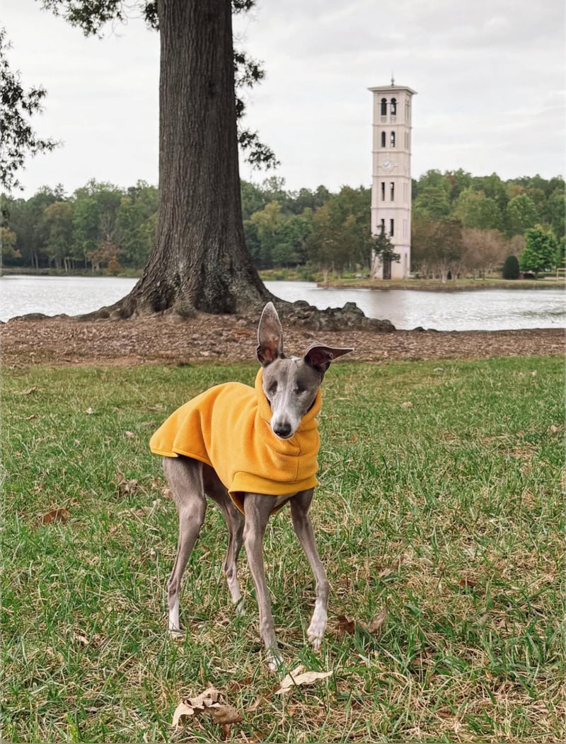 Load image into Gallery viewer, Open-Leg Fleece Vest - Yellow
