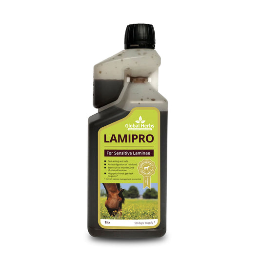 Global Herbs Lamipro Liquid