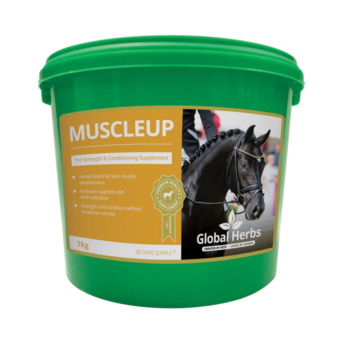 Global Herbs Muscleup