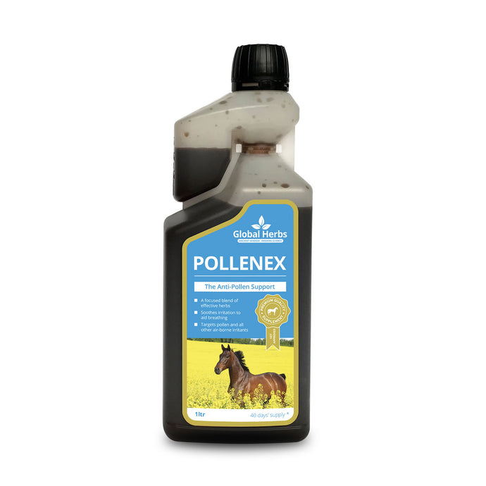 Global Herbs Pollenex Syrup