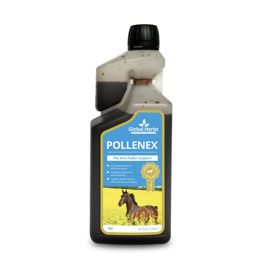 Global Herbs Pollenex Syrup