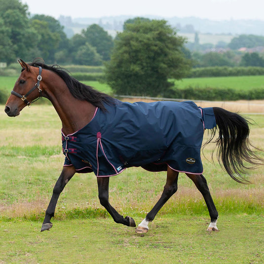 Gallop Trojan Duraproof 50 G 5 Point Std Neck Turnout Navy