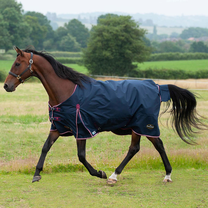 Gallop Trojan Duraproof 50 G 5 Point Std Neck Turnout Navy