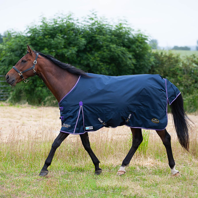 Gallop Trojan Duraproof 5 Point Std Lightweight Turnout Navy