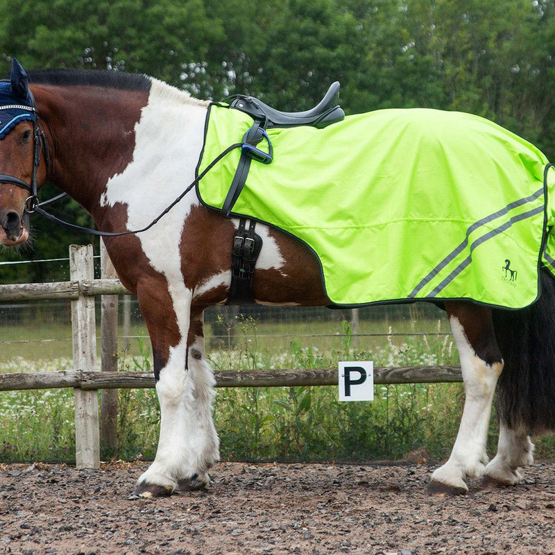 Load image into Gallery viewer, Gallop Trojan Retro Reflective Mesh Exercise Sheet Yellow
