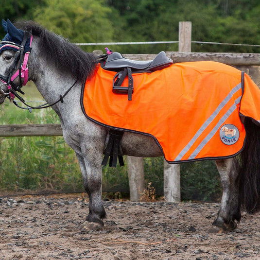 Gallop Ponie Retro Reflective Mesh Exercise Sheet Orange