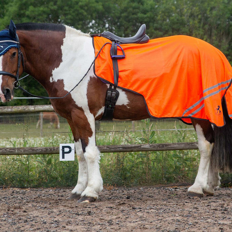 Load image into Gallery viewer, Gallop Trojan Retro Reflective Mesh Exercise Sheet Orange
