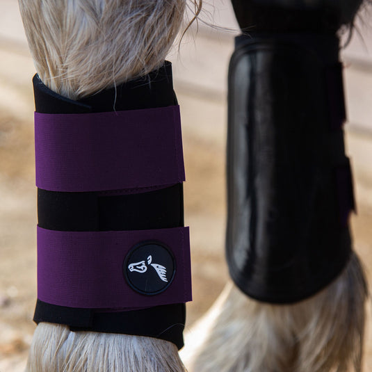 Gallop Gp Brushing Boots Purple